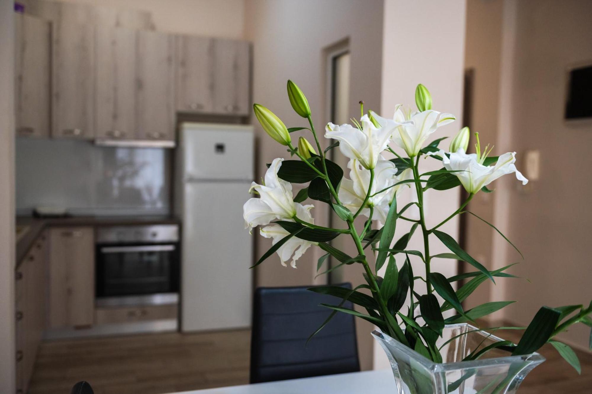 Central Luxurious Suite Near Lighthouse 알렉산드로폴리스 외부 사진